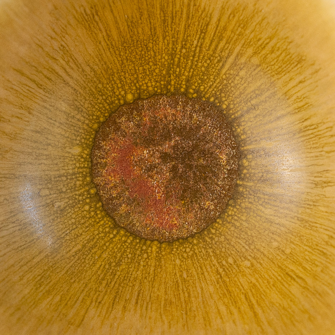Bowl, Berndt Friberg, Gustavsberg, Sweden. 1940s.