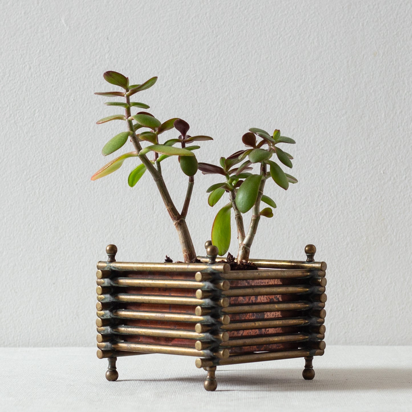 Edwardian Sculptural Planter, England. Circa 1910.
