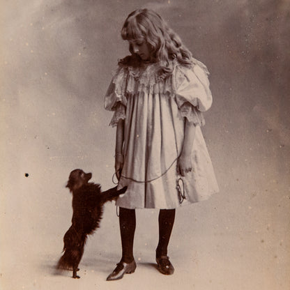 Framed Cabinet Photograph of a Girl with a Dog, G & R Lavis, England. Circa 1890.