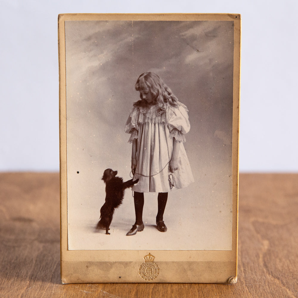Framed Cabinet Photograph of a Girl with a Dog, G & R Lavis, England. Circa 1890.