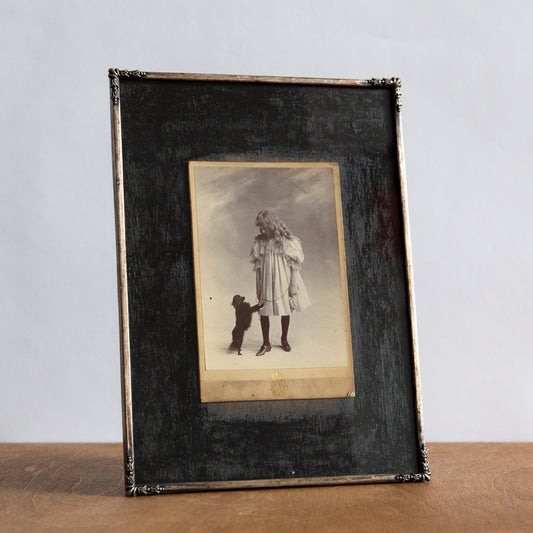 Framed Cabinet Photograph of a Girl with a Dog, G & R Lavis, England. Circa 1890.