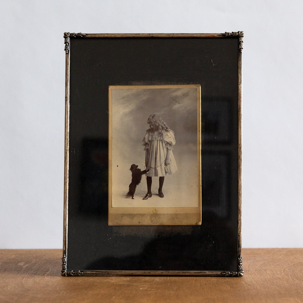 Framed Cabinet Photograph of a Girl with a Dog, G & R Lavis, England. Circa 1890.