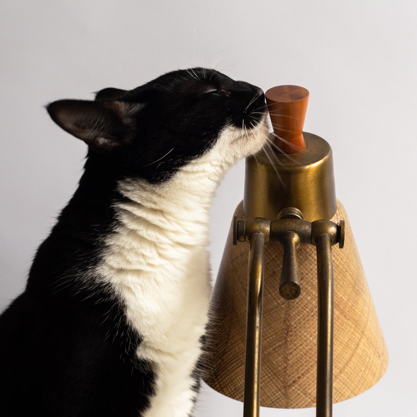 Articulating Desk Lamp with fibreglass shade, France. 1950's.