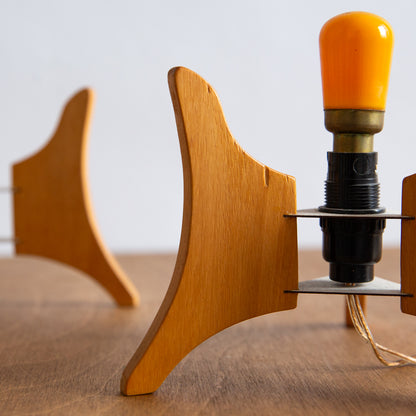Unique Pair of Sea Urchin Table Lamps, 1970s.