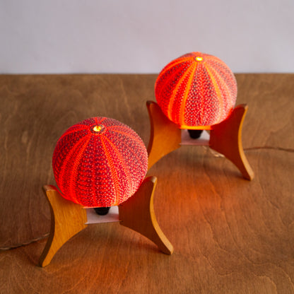Unique Pair of Sea Urchin Table Lamps, 1970s.