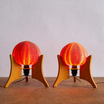 Unique Pair of Sea Urchin Table Lamps, 1970s.