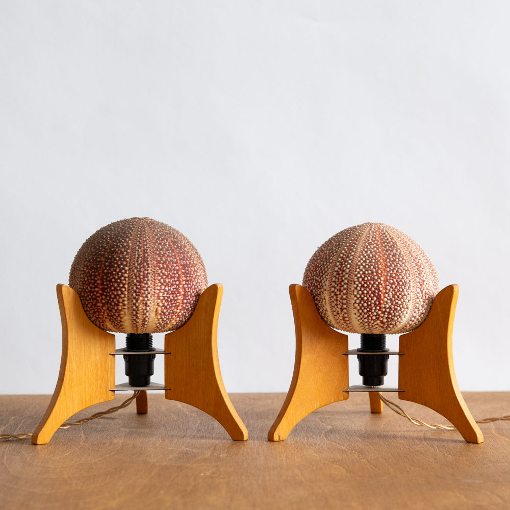 Unique Pair of Sea Urchin Table Lamps, 1970s.